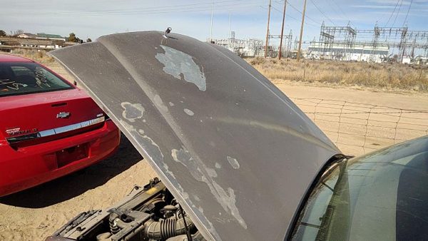 1992 Buick Park Avenue Hood Gold — photo 2