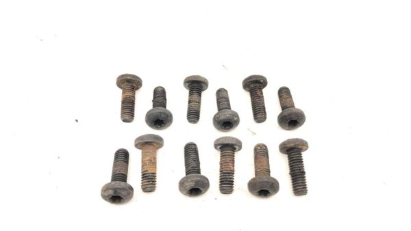 1986 Chevy Corvette C4 Lower Intake Manifold Bolts 12 Oem Factory Hardware — photo 1