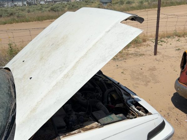 1989 Honda Accord Hood White — photo 1