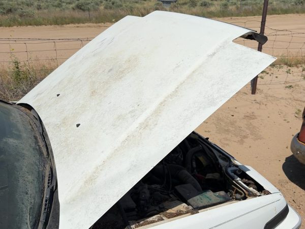1989 Honda Accord Hood White — photo 2