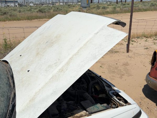 1989 Honda Accord Hood White — photo 3