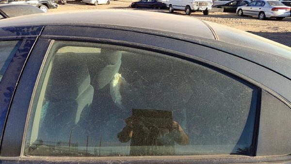 1998-2004 Dodge Intrepid Driver Left Rear Side Window Door Glass Oem Back — photo 3