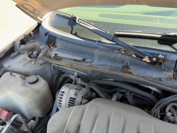 2000-2005 Buick Lesabre Windshield Wiper Cowl Vent Trim Panel Oem Cover — photo 7