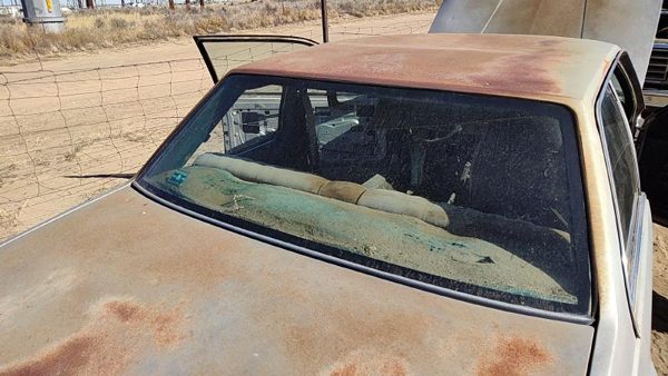 1985-1987 Pontiac Sunbird Back Glass Rear Window 2Dr Oem 20480996 — photo 1
