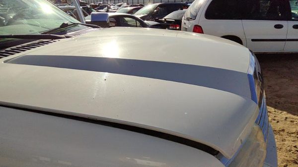 2008 Lincoln Navigator Hood Pv White Chocolate 7L7Z16612A — photo 5