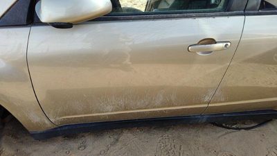 2007 Suzuki Grand Front Door LH Gold
