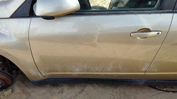 2007 Suzuki Grand Front Door LH Gold — photo 2