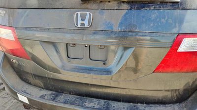 05-07 Honda Odyssey License Plate Trim Surround Panel Oem Tail Trunk Finish