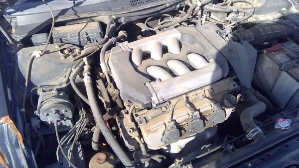 2001 Honda Accord — vehicle photo 2