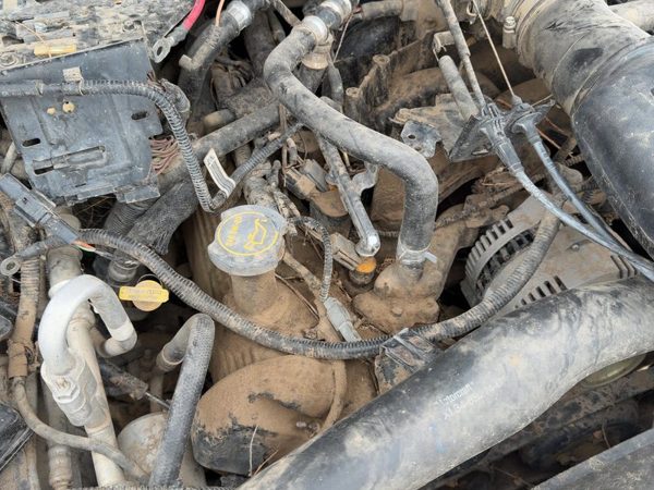 1999-2004 Ford Expedition Passenger Right Cylinder Head Assembly Oem 5.4L — photo 4