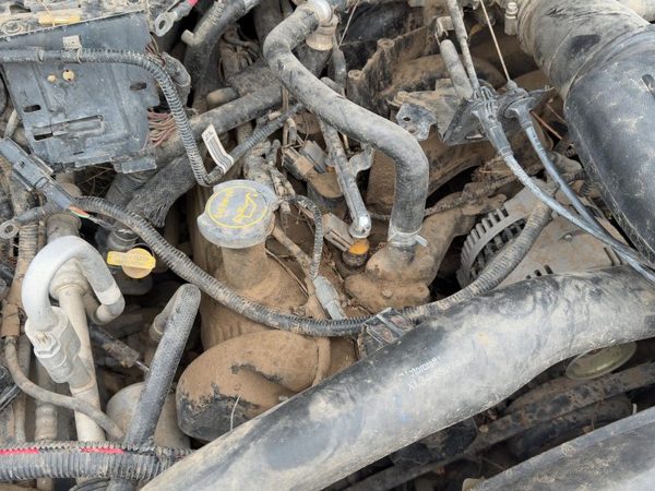 1999-2004 Ford Expedition Passenger Right Cylinder Head Assembly Oem 5.4L — photo 3