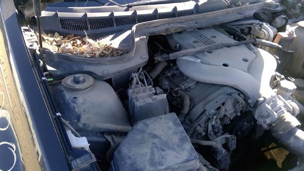 2008 Pontiac G8 — vehicle photo 9