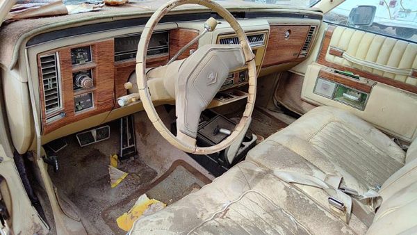 1980 Cadillac Fleetwood — vehicle photo 3