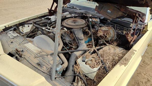 1980 Cadillac Fleetwood — vehicle photo 2