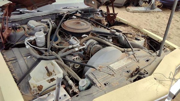 1980 Cadillac Fleetwood — vehicle photo 8