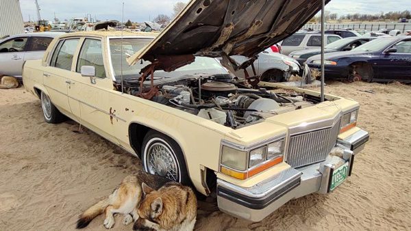 1980 Cadillac Fleetwood — vehicle photo 7