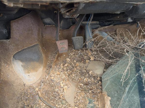 1984-1987 Pontiac Sunbird Complete Clutch And Brake Pedal Assembly Oem — photo 3