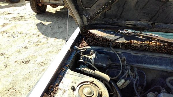 1983-1986 Toyota Camry Passenger Right Hood Hinge Assembly Oem Gray 5341032011 — photo 1