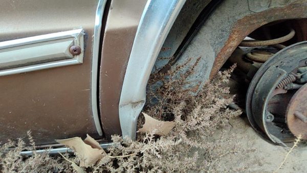1981 Chevrolet Malibu Wheel Opening Moulding LH — photo 6