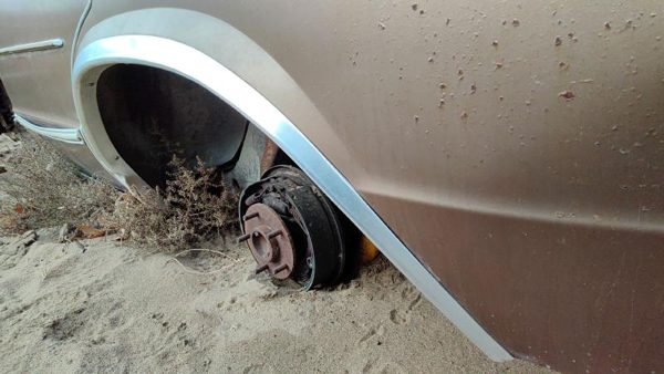 1981 Chevrolet Malibu Wheel Opening Moulding LH — photo 3