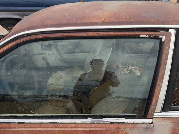 1982-1984 Pontiac Sunbird Driver Left Front Side Window Door Glass Oem 20157332 — photo 4