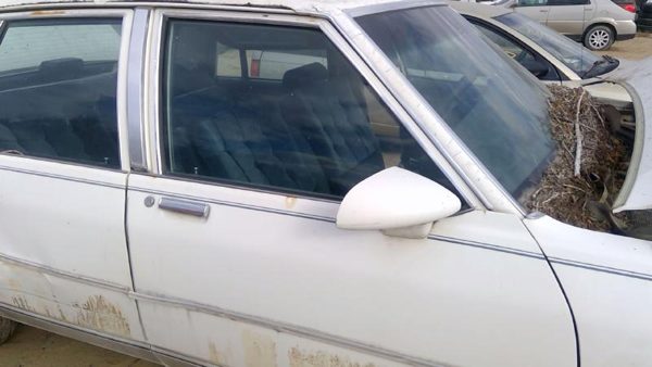 1986 Chevrolet Caprice Front Door RH White — photo 8