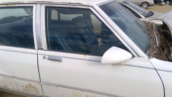 1986 Chevrolet Caprice Front Door RH White — photo 9