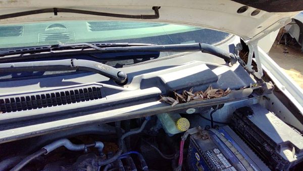2008-2020 Dodge Grand Caravan Windshield Wiper Cowl Vent Trim Panel Oem Cover — photo 5