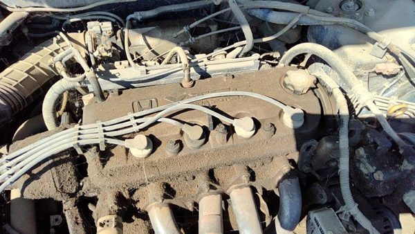 1998-2002 Honda Accord Valve Cover Oem 2.3L Vtec 12310Paaa00 — photo 2