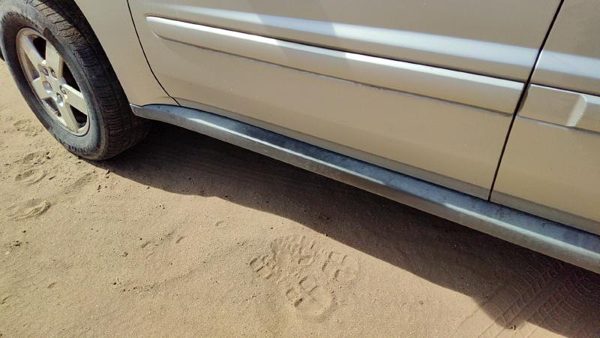 2006-2009 Chevy Equinox Driver Left Lower Rocker Panel Moulding Side Skirt Oem — photo 5