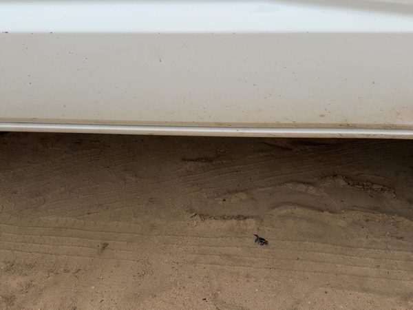 05-11 Dakota Passenger Right Lower Rocker Panel Moulding Side Skirt White Pw7 — photo 5
