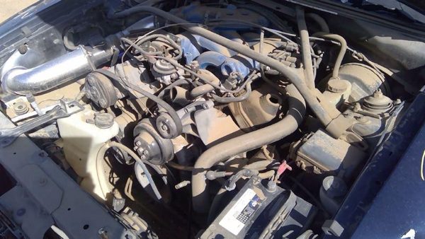 2003 Ford Mustang — vehicle photo 3