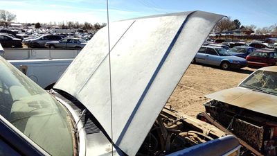1982 Ford F150 Hood Blue