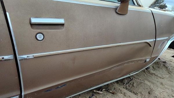 1981 Chevy Malibu Passenger Right Front Moulding From Door Oem Trim Strip 4 Door — photo 1