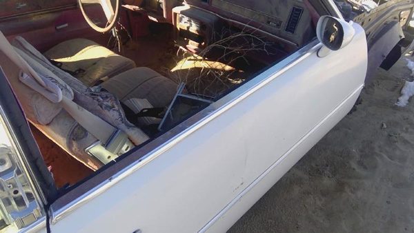 78-80 Buick Regal Passenger Right Front Moulding From Door Oem Trim Strip Chrome — photo 1