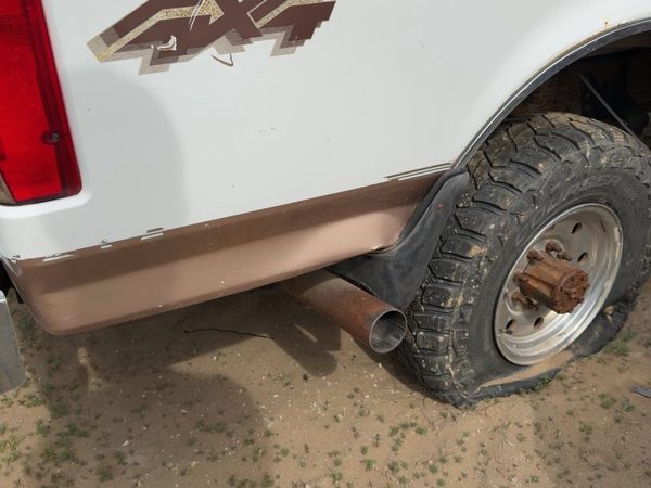 1997 Ford F250 Pickup Box/bed Assembly Tan White Dy — photo 9