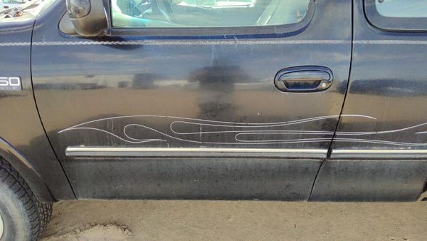 1997 Ford F-150 Front Door LH Black Ua — photo 4
