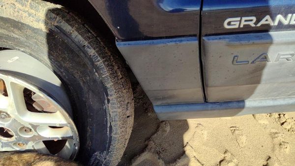 2003-2004 Jeep Grand Cherokee Driver Left Moulding From Fender Oem Trim Strip — photo 3