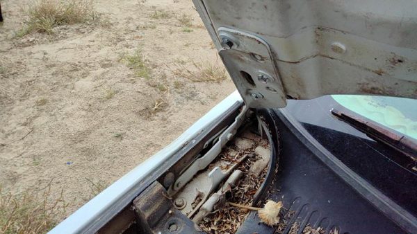 1999-05 Buick Park Ave Pair Of Hood Hinges Right Left Set Assembly Oem White 78u — photo 4