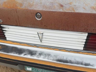82-84 Pontiac Sunbird License Plate Trim Surround Panel Oem Tail Trunk Finish
