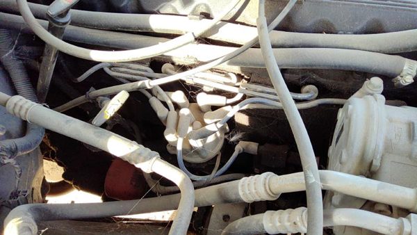1994-1997 Jeep Grand Cherokee Ignition Distributor Oem 4.0L 56027028 — photo 3