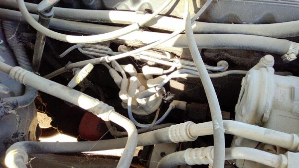 1994-1997 Jeep Grand Cherokee Ignition Distributor Oem 4.0L 56027028 — photo 4