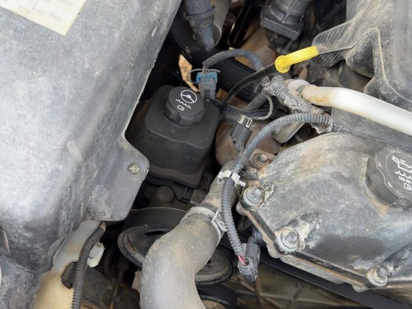 2004-2007 Buick Rainier Power Steering Pump With Pulley Oem 4.2L 26112229 — photo 2
