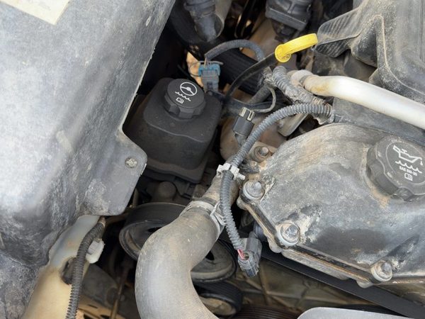 2004-2007 Buick Rainier Power Steering Pump With Pulley Oem 4.2L 26112229 — photo 4