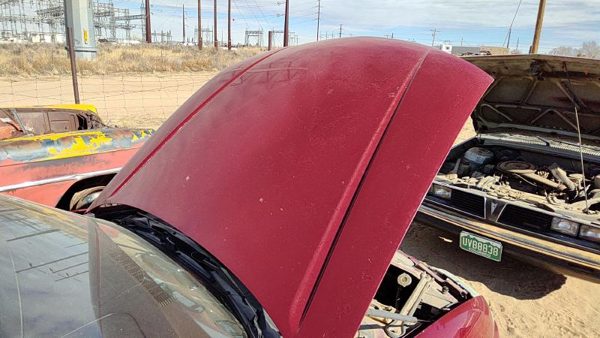 1995 Chevrolet Lumina Hood Red — photo 3
