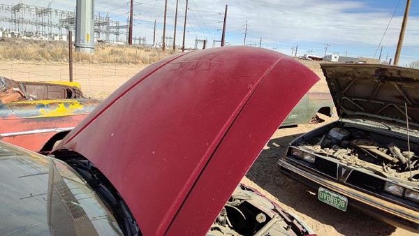 1995 Chevrolet Lumina Hood Red — photo 2