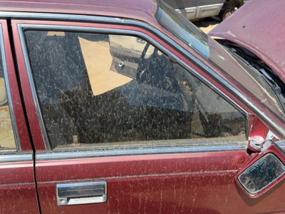 1985-1988 Nissan Maxima Passenger Right Front Side Window Door Glass Oem
