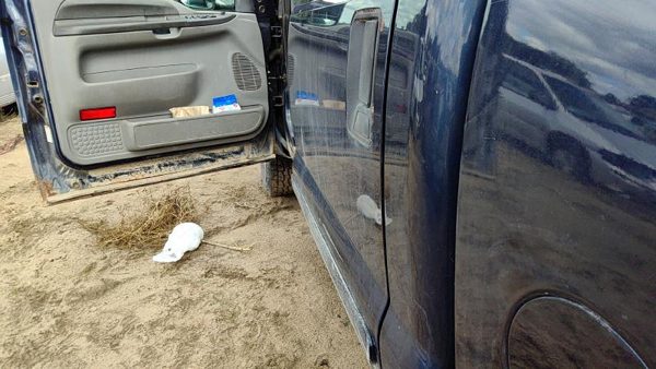2003 Ford F350 Sd Pickup Rear Door LH Blue — photo 4