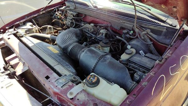 1997 Ford Expedition Trunk/decklid/hatch/tailgate Maroon Jl — photo 2