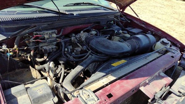 1997 Ford Expedition Trunk/decklid/hatch/tailgate Maroon Jl — photo 8